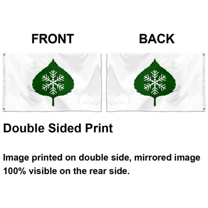 Fyon Aspen, Colorado Flag Indoor and Outdoor Banner