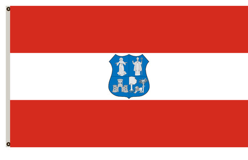 Asunción flag