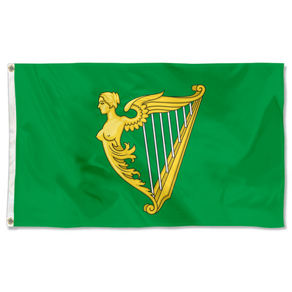 Fyon A traditional green harp flag of Ireland with a slightly different harp from File Arms of Ireland Historical Flag Indoor and outdoor banner 33001