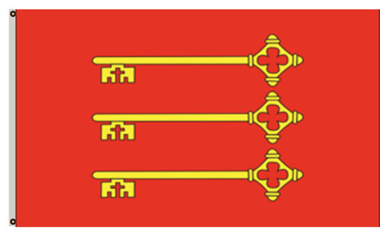 Avignon France flag
