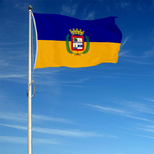 Fyon Bandera de Aguadilla, Puerto Rico flag banner