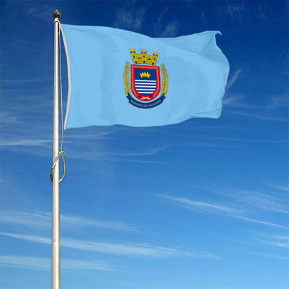 Fyon Bandera de Naguabo, Puerto Rico flag banner