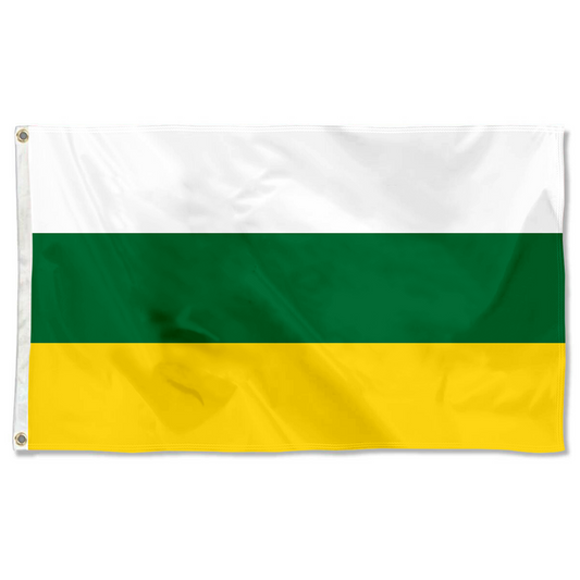 Fyon Barranquitas, Puerto Rico flag banner