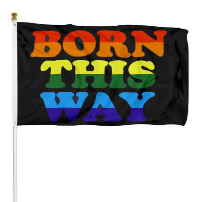 Fyon Born This Way Rainbow Pride Flag Indoor and outdoor banner