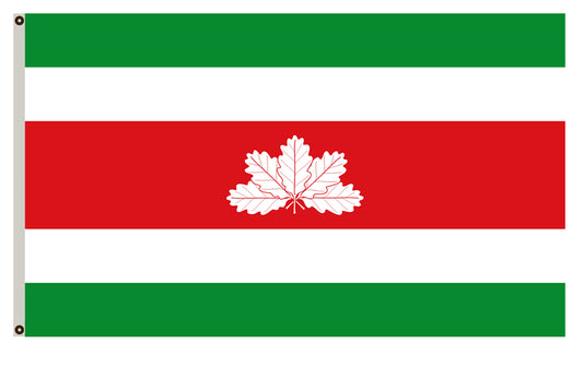 Fyon of Boyacá flag Colombia banner