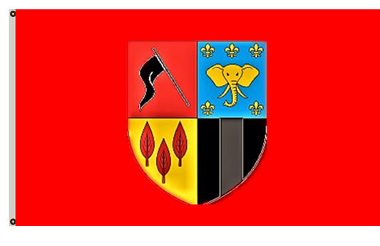 Brazzaville Rep of Congo flag