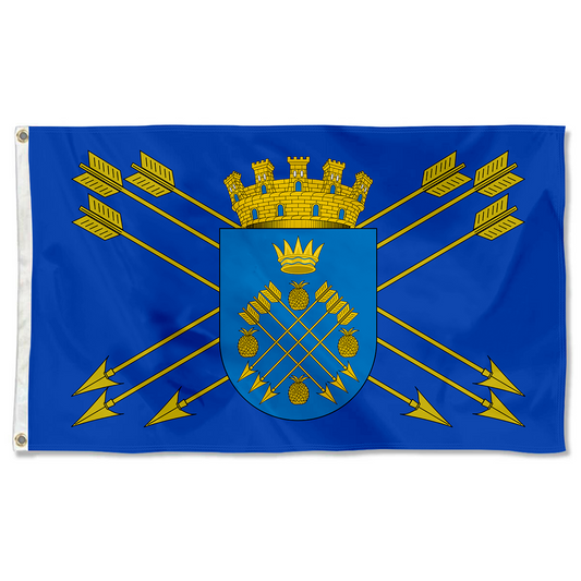 Fyon Caguas, Puerto Rico flag banner