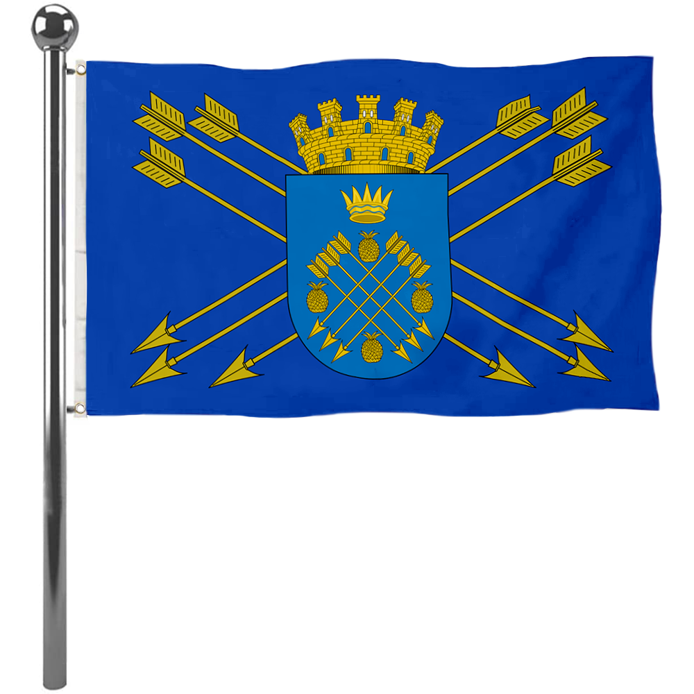Fyon Caguas, Puerto Rico flag banner