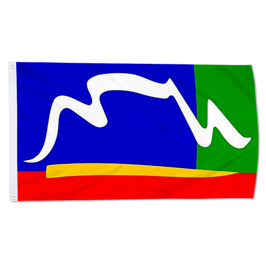 Fyon Cape Town Flag  Banner