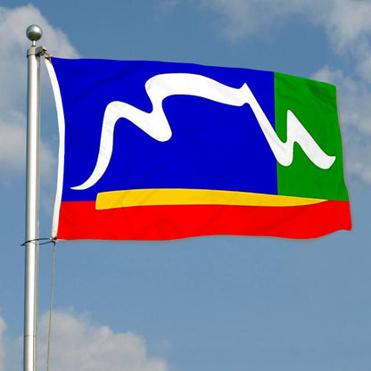 Fyon Cape Town Flag  Banner