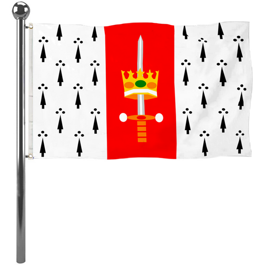 Fyon Carolina, Puerto Rico flag banner