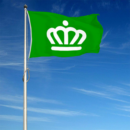 Fyon Charlotte, North Carolina Flag(Green) banner