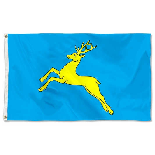 Fyon City of Sambir, Lviv Oblast, Ukraine flag Indoor and outdoor banner