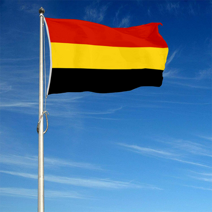 Fyon Coamo, Puerto Rico flag banner