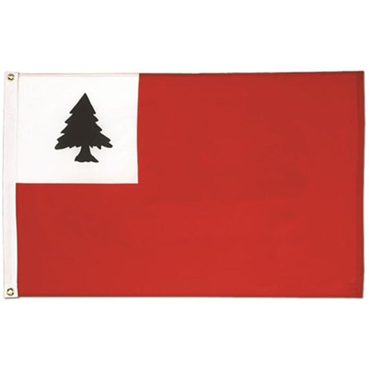 Continental Flag Indoor and outdoor banner
