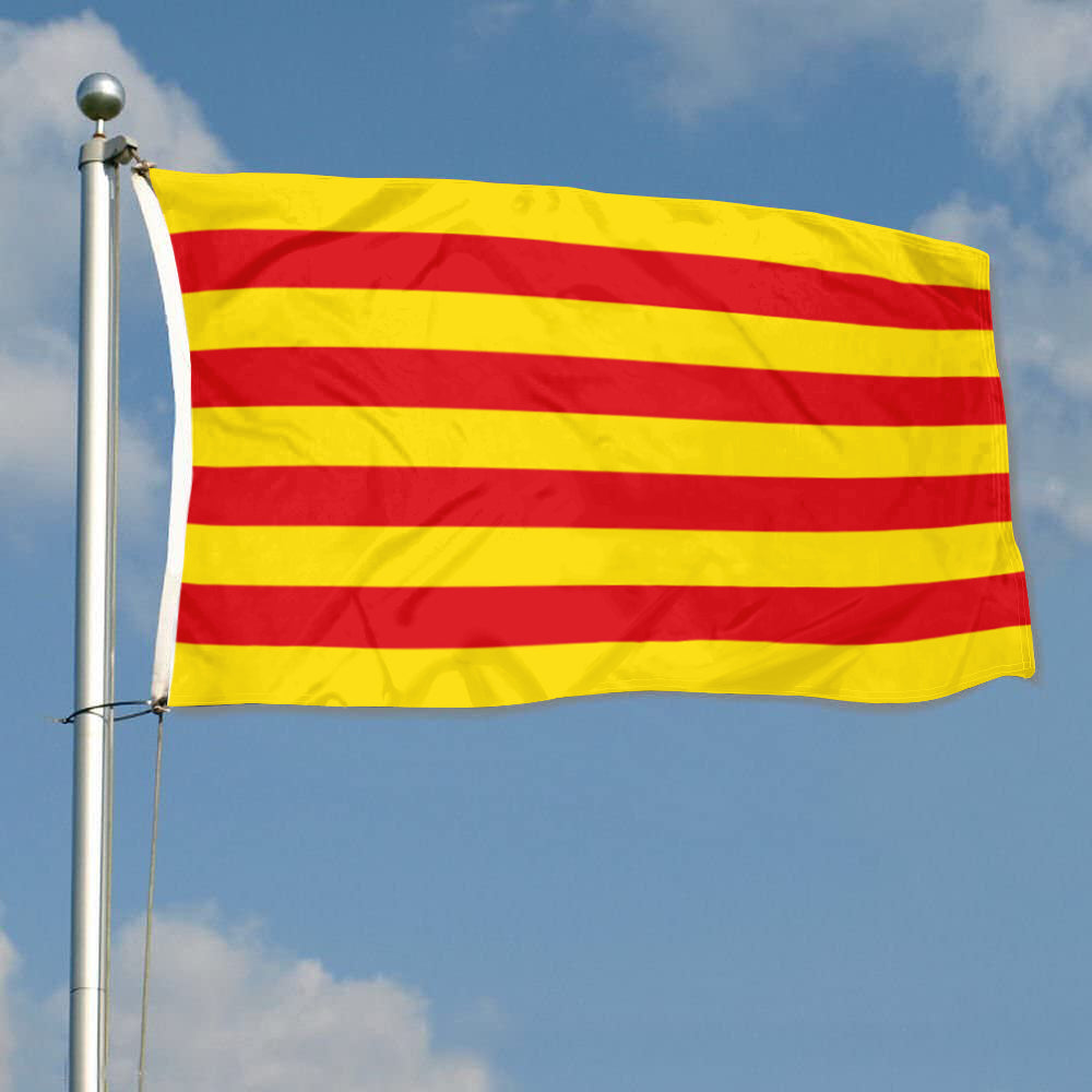 Fyon County of Aragon Flag Indoor and outdoor banner