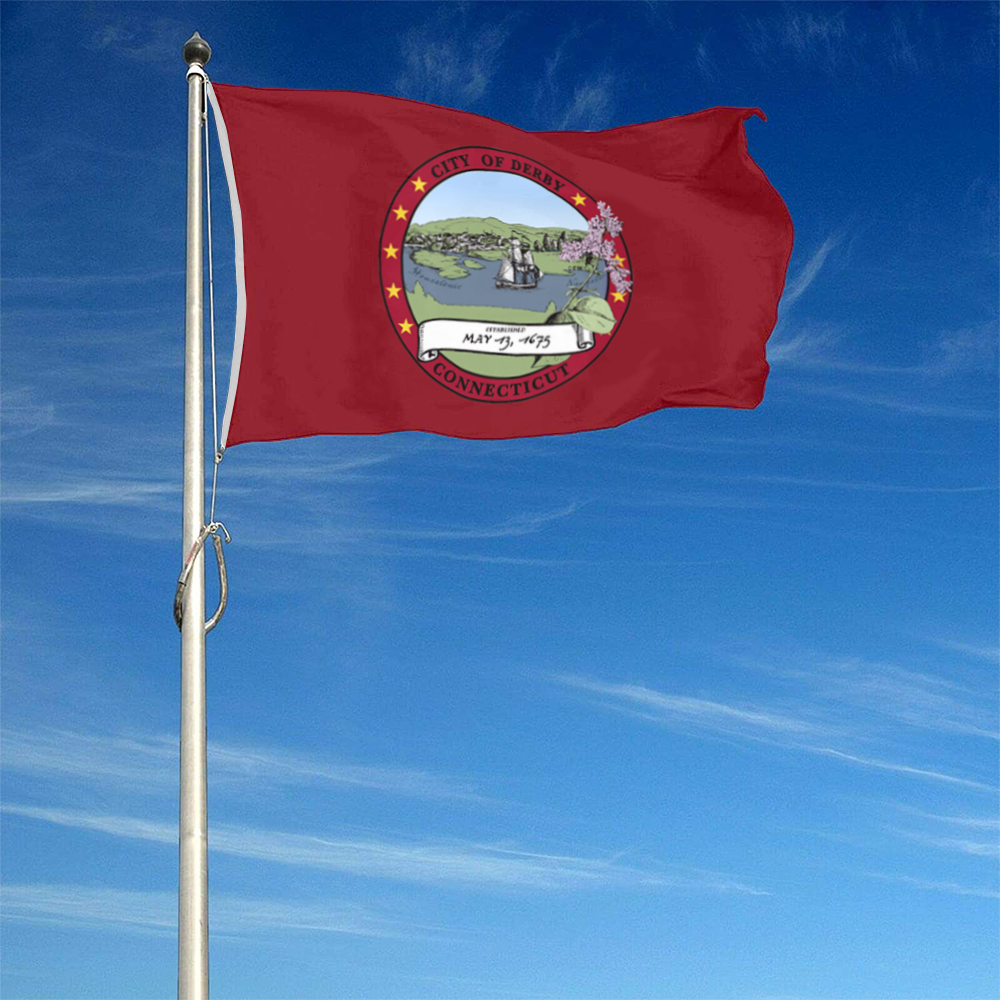 Fyon Derby, Connecticut flag  Banner