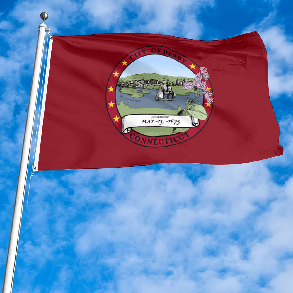 Fyon Derby, Connecticut flag  Banner