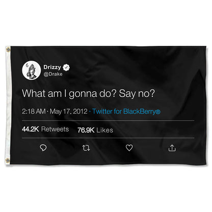 Fyon Drizzy Funny twitter Flag Banner What am I gonna do Say No Flag Indoor and Outdoor Banner
