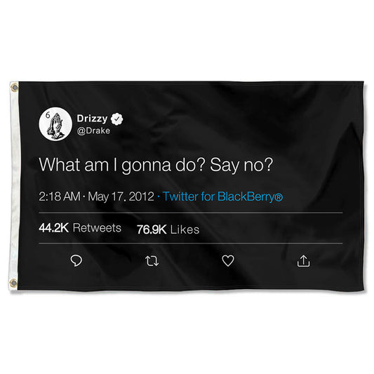 Fyon Drizzy Funny twitter Flag Banner What am I gonna do Say No Flag Indoor and Outdoor Banner