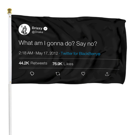 Fyon Drizzy Funny twitter Flag Banner What am I gonna do Say No Flag Indoor and Outdoor Banner