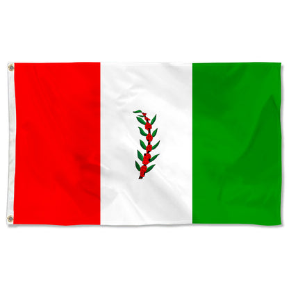 Fyon El Paraiso Department, Honduras flag Indoor and outdoor banner