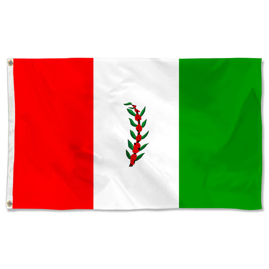 Fyon El Paraiso Department, Honduras flag Indoor and outdoor banner