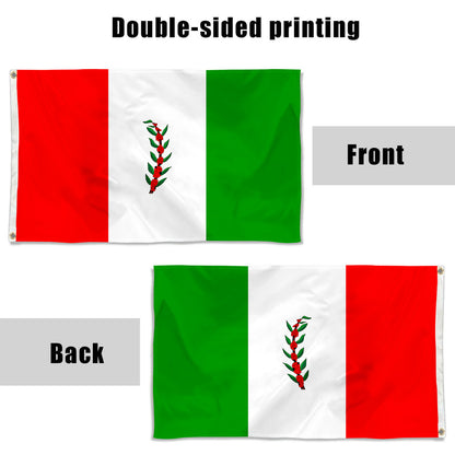 Fyon El Paraiso Department, Honduras flag Indoor and outdoor banner