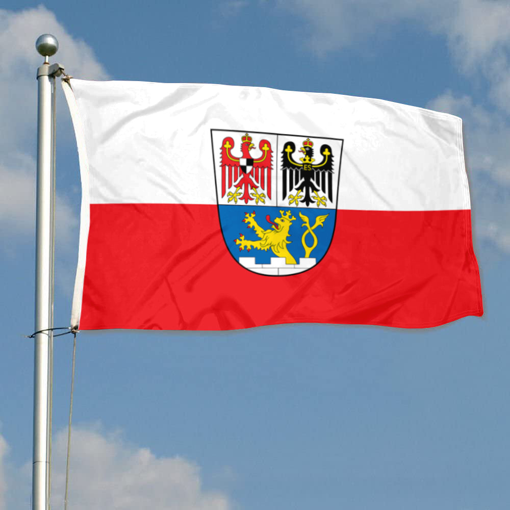 Fyon Erlangen, Bavaria, Germany Flag Indoor and Outdoor Banner