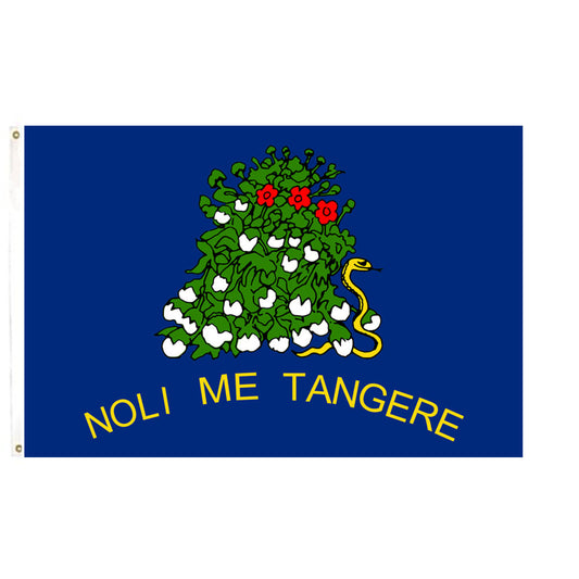 Fyon Reverse of the 1861 flag of Alabama banner