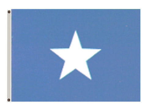 The State of Florida Flag The Bonnie Blue flag