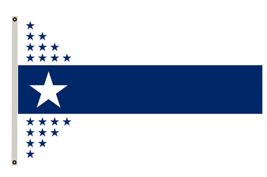 The State of Illinois Centennial flag by Wallace Rice banner