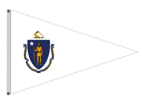 Variant flag of Commonwealth of Massachusetts banner