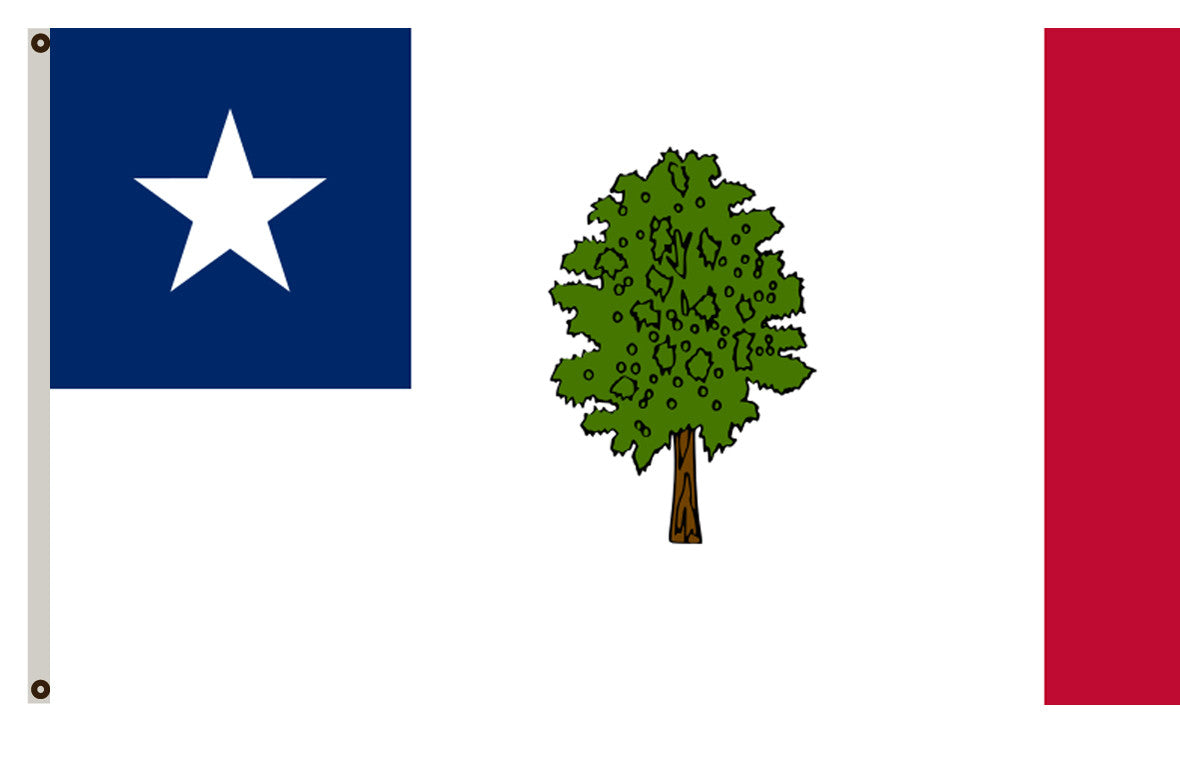 The State of Mississippi Flag 1861 banner