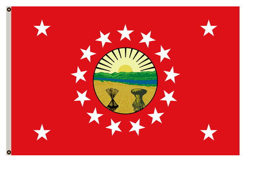 The Flag of the Governor of Ohio, incorporating the 1996 state coat of arms banner