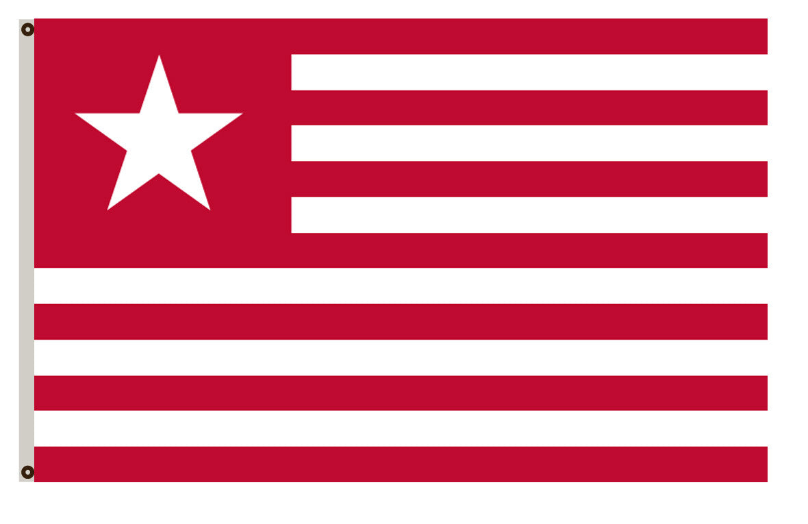 Pre-Revolutionary Flag Colonel James Long's flag – the second of the Texas flags with a Lone Star after the Jane Long flag banner