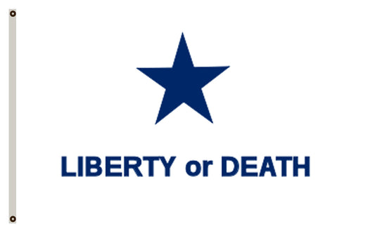 Revolutionary flag The flag under which the Georgia Battalion of Volunteers marched to Texas to participate in the fight against Mexico banner