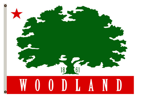 Fyon California banner City of Woodland Flag