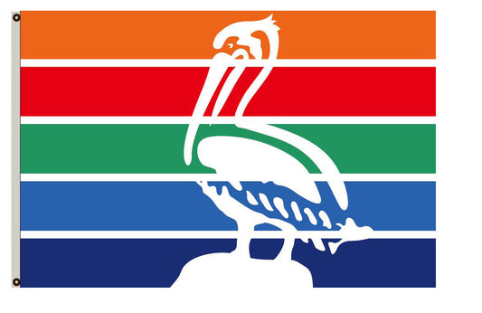 Fyon Florida banner City of St. Petersburg Flag