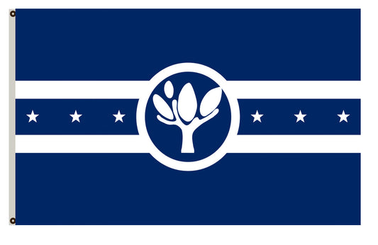 Fyon Illinois banner City of Naperville Flag