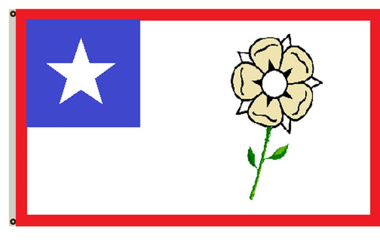 Fyon Mississippi banenr City of Pass Christian Flag