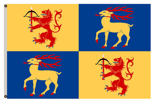 Arms banner County Kalmar County flag