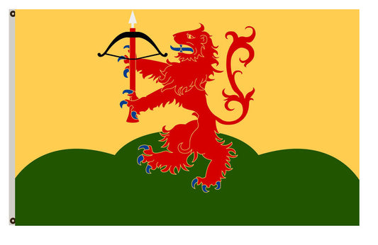 Arms banner County Kronoberg County flag
