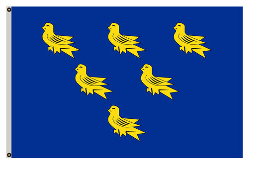 Arms banner County Sussex flag