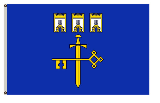 Arms banner Subdivision Ternopil Oblast flag