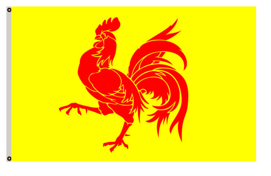 Arms banner Subdivision Wallonia flag