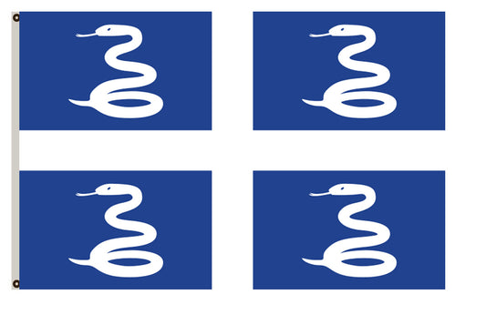Fyon France banner Martinique flag