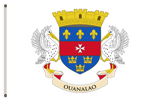 Fyon France banner Saint Barthélemy flag