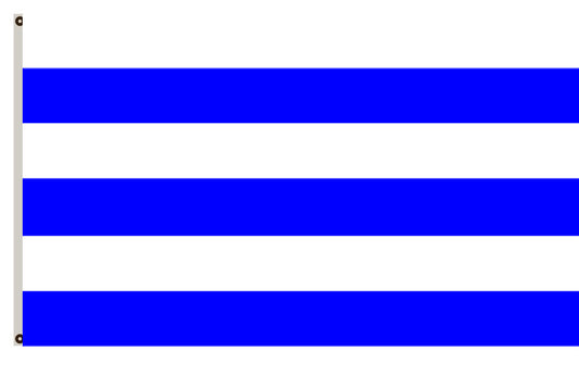 Fyon Europe banner France flag