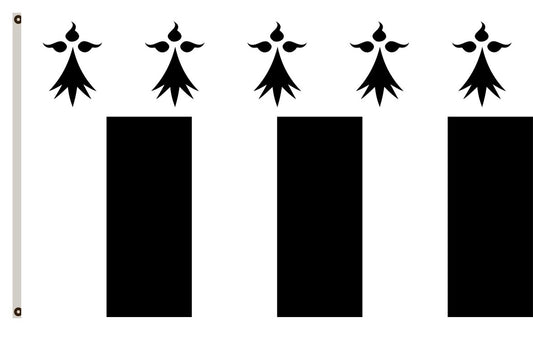 Fyon Europe banner France flag